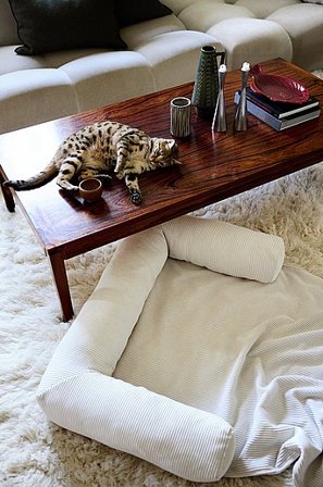 Jotex - Legowisko Dla Psa/kota Cm Naturvit - KELSO - Kup Akcesoria dla zwierząt firmy Jotex