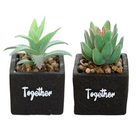 2 stk. kunstige sukkulenter firkantet cementbassin bonsai simulering