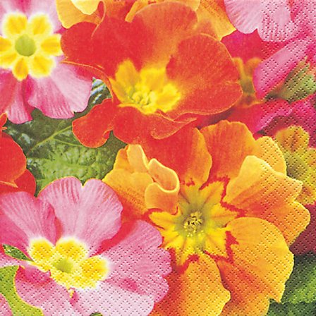 Serviett 33x33cm Primula