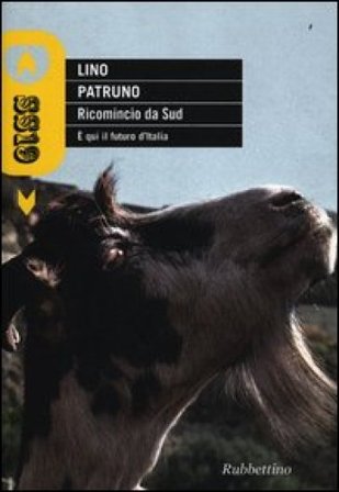 Ricomincio da Sud. È qui il futuro d'Italia Lino Patruno