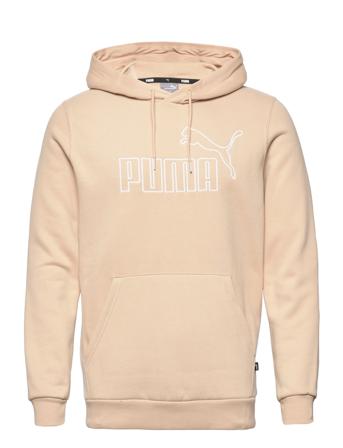 Ess+ Big Embroidery Hoodie Fl Hoodie Creme PUMA