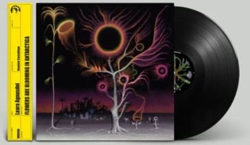 Flowers are blooming in antarctica Laura Agnusdei