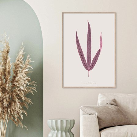 Terminalia Elegans — Plakat med flot illustration af plante fra Nature Remixed by Gehalt
