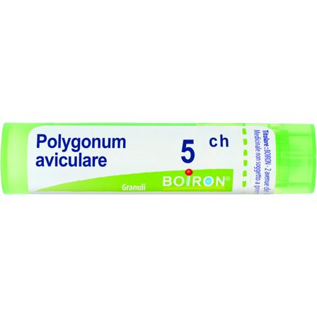 Boiron Polygonum Aviculare Granuli 05Ch Tubo 4g