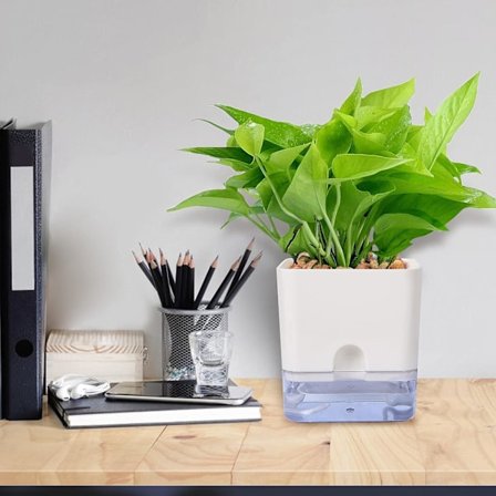 Blomsterpotter, sæt med 1 urtepotte, med automatisk vandingssystem, P