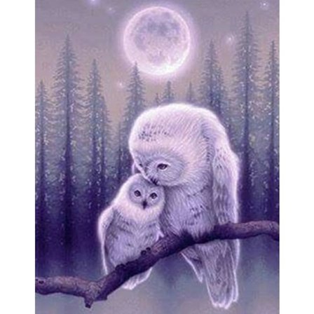 30*40cm Timanttimaalaus Keiju Eläimet, Timantti Palapeli Pöllö Pöllö Diam