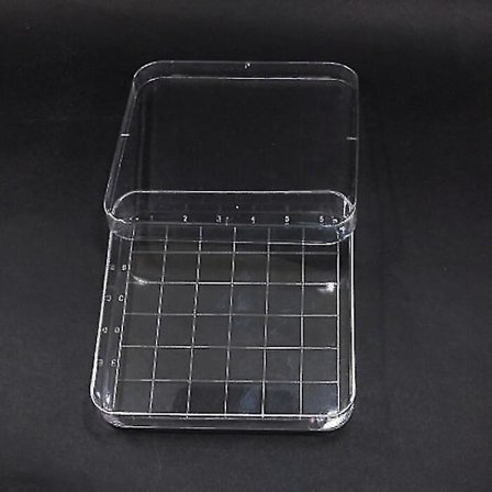 10 stk Klare 10x10cm Skalerte Kvadratiske Plast Petriskåler