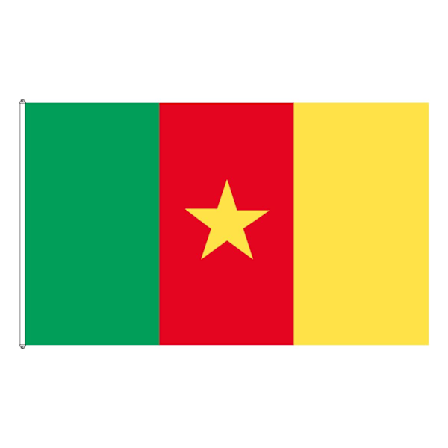 Cameroun flag