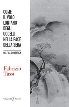 Come il volo lontano degli uccelli nella pace della sera. Mistica domestica. Con Libro in brossura Fabrizio Tassi