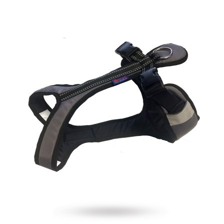 Zero DC - Zero DC Shorter Grå & Svart - Klassiske hundeseler, step-in, jacket seler, trekkseler, vinterseler & Y-seler på Doggie.no