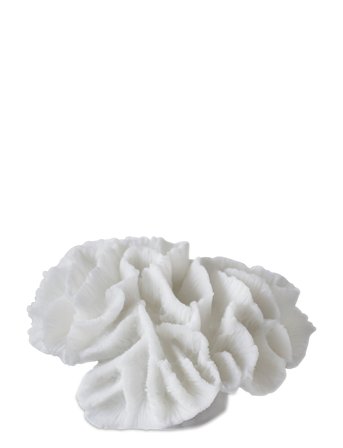 Mette Ditmer Coral, Gills - White - H:10CM