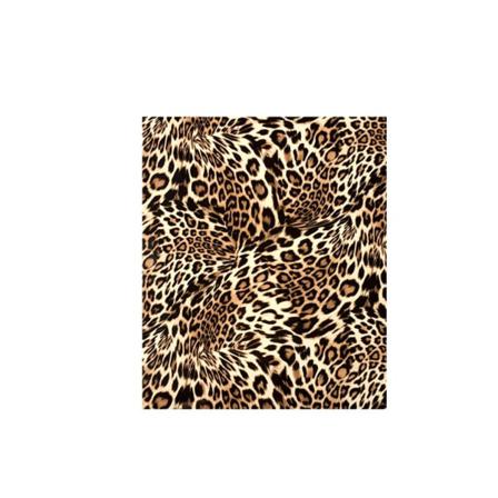 Paket Med 10 Leopard Print Slithärdig Söt Present