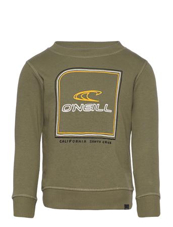 All Year Crew Sweatshirt Sweatshirt Trøje Grøn O'neill