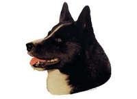 Karelsk bjørnhund - klistremerker