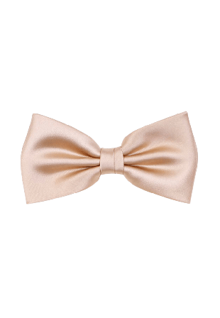 Amanda Christensen Ceremony Pre Tie Accessoarer Herr Beige ONESIZE