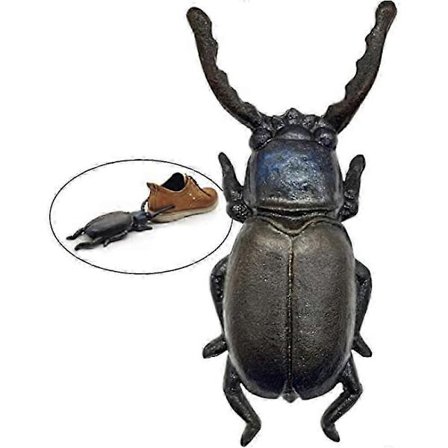Kraftig Beetle støvleknægt, sko- og cowboy støvleaftager