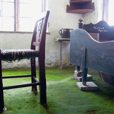 Papa s ear Tenniscoats