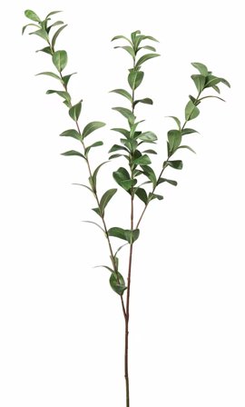 Mr Plant Kunstig Ruscus Grønn H110