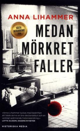 Medan mörkret faller - Bok av Anna Lihammer - Pocket