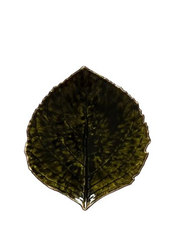 Costa Nova Bladfad Hydrangea S - Green - 17.2X 15CM