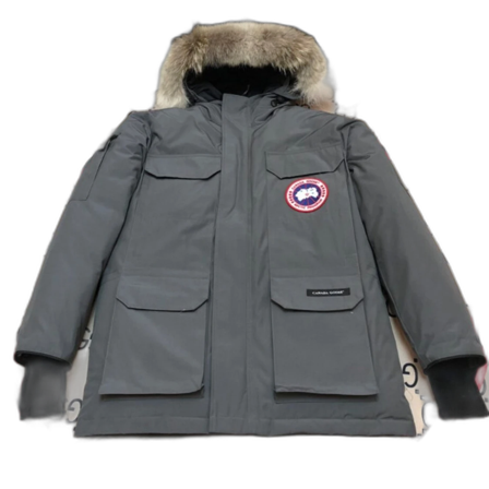 Canada goose