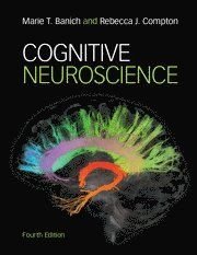 Cognitive Neuroscience, ISBN: 9781316507902