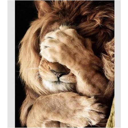 Jyshc Palapeli 1000/500/300 Palaa Ujo Leijona Julisteet Puu Aikuisille Lelut Rentoutuspeli Fx135nj