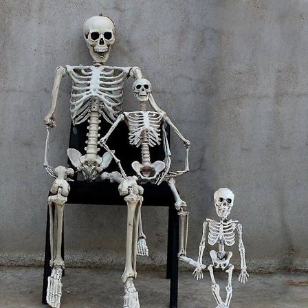 Bevægeligt skelet i fuld størrelse - Halloween fest hus hjemsøgt rekvisit