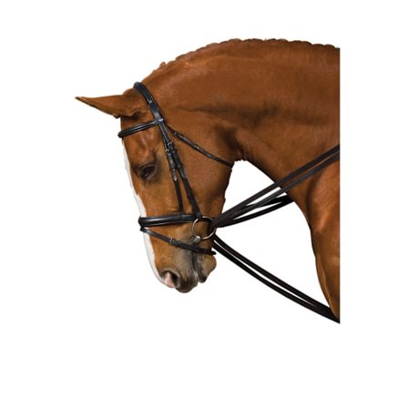Kincade Web Draw Reins Full Black