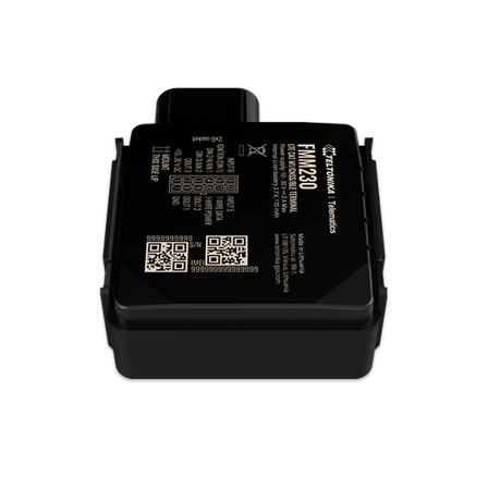 TELTONIKA waterproof LTE CAT M1 terminal with flexible inputs
