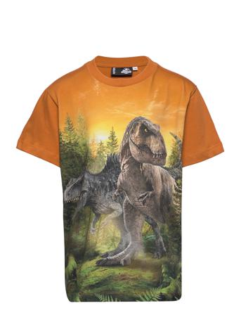 Roxo T-shirt Multi/mønstret Molo