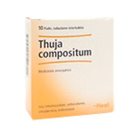 Thuya Compositum 10 Fiale