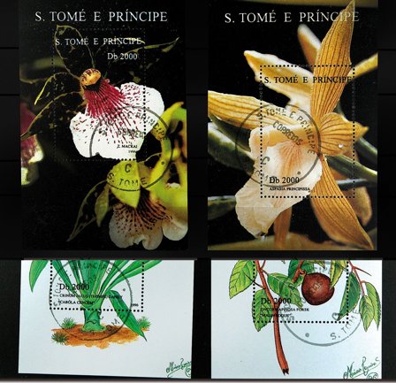 Orkideer St. Tome 4 miniark