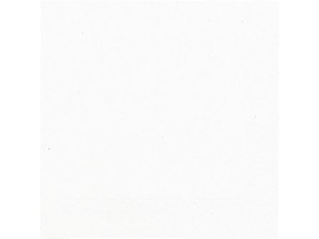 DUNI Servett 1-lags, enfärgad, 33 cm, vit 500/fp - Lyreco - Kök och servering - Servetter och dukar - Servett - 1-lagers