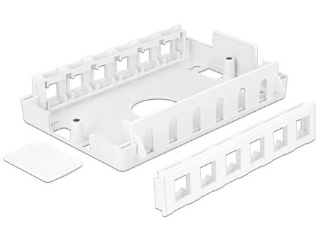 Delock overflatemonteringsboks for nettverk