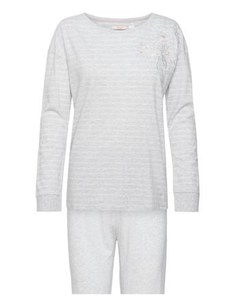 Sets Pk Lsl 10 X Grey Triumph