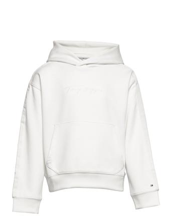 Ww Dg Signature Hoodie Hoodie Vit Tommy Hilfiger