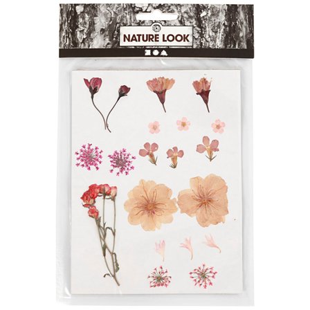 Creativ Company Fleurs et feuilles séchées Rose clair