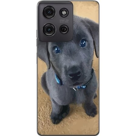 Kompatibelt Mobildeksel til Motorola Moto G75 Grå valp med store blå øyne sitter med uskyldig uttrykk myk pels og sjarmerende detaljert hundemotiv