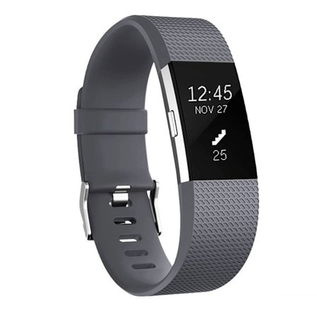 Fitbit Charge 2 armband L