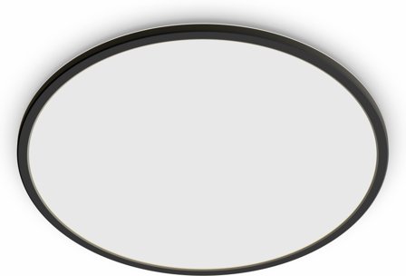 Philips Functional Ceiling Light