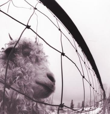 Vs (rem.ed.180gr.) Pearl Jam