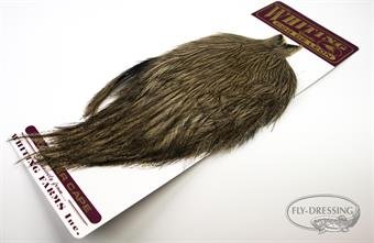 Whiting Coq de Leon Cape Med. Pardo