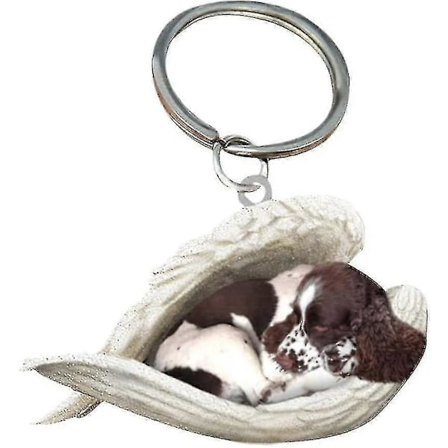 2 kpl Enkeli Nukkuva Koira Akryyli Avaimenperät Ripustimet Koti Koristeet Tarvikkeet Lahjat väri:Tyyli 13