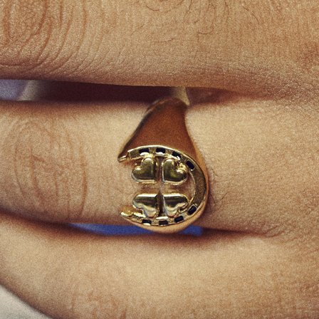 Ace | Gold-tone 4-leaf Clover & Horseshoe Signet Ring for Men - Steel rings