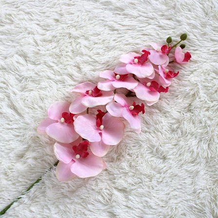 Butterfly Orchid tekokukka PINK