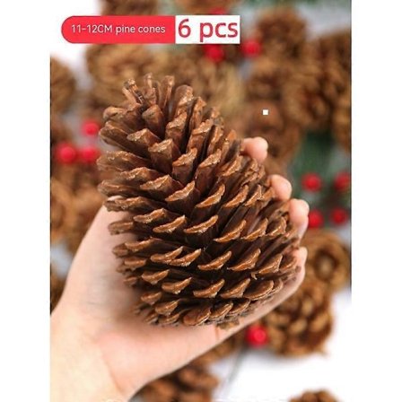 11-12cm 6 stk Naturlige Furukongler, Store Furukongler, Naturlige Furukonglepynt Store Furukongler til Høst- og Vinterdekorasjon