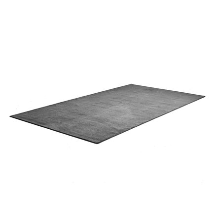 Rug ROBIN, 4400x2400 mm, light grey