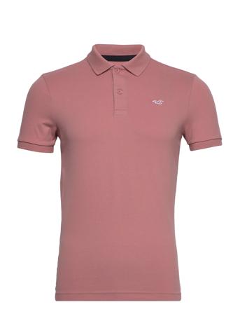 Hco. Guys Knits Coral Hollister