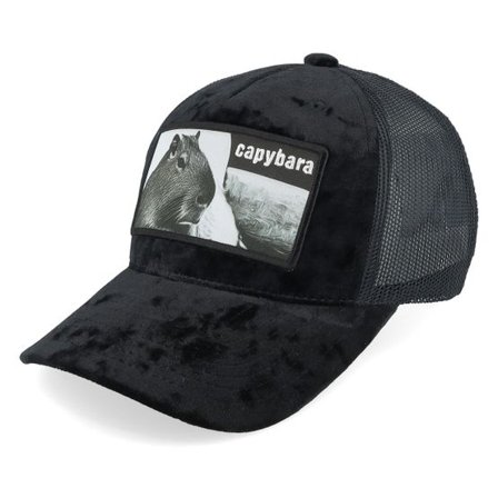 Iconic - Svart trucker Keps - Kids Youth Capybara Sofa Velvet Black Trucker @ Hatstore